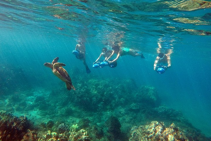Sea Scooter Snorkeling, your entire family can enjoy snorkeling together.